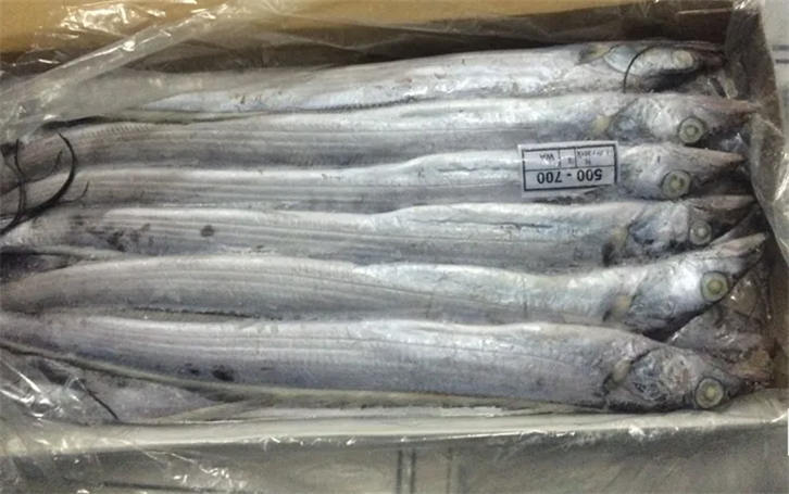 上海冷凍帶魚(yú)進(jìn)口報(bào)關(guān)公司.png