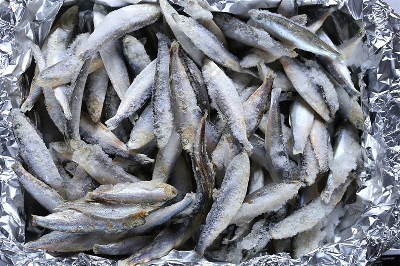 廈門進(jìn)口凍魚(yú)報(bào)關(guān).png